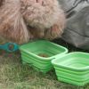 Silicone Collapsible Pet Bowl Double Portable Travel Bowl Equipped with Aluminum Hook Clip - green