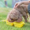 Silicone Collapsible Pet Bowl Double Portable Travel Bowl Equipped with Aluminum Hook Clip - yellow