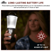 Cascade Mountain Tech 500-Lumen IPX4 LED Flashlight Lantern - 3 Pack - Cascade Mountain Tech